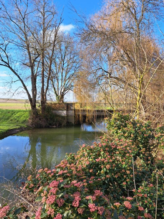 Le Moulin Etourneau - 3 Gites Avec 2 Piscines Champagnac  Buitenkant foto